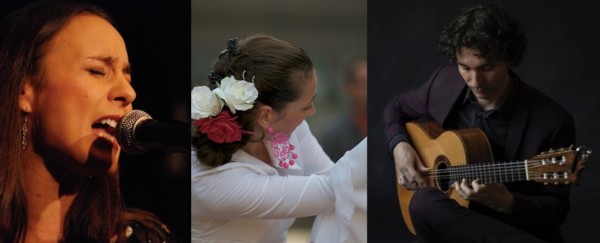 Form submissions artiest gezelschap Trio Flamenco 3 v2